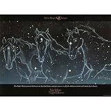 No More Night Mares Horses in Stars Art Print Poster - 24x18