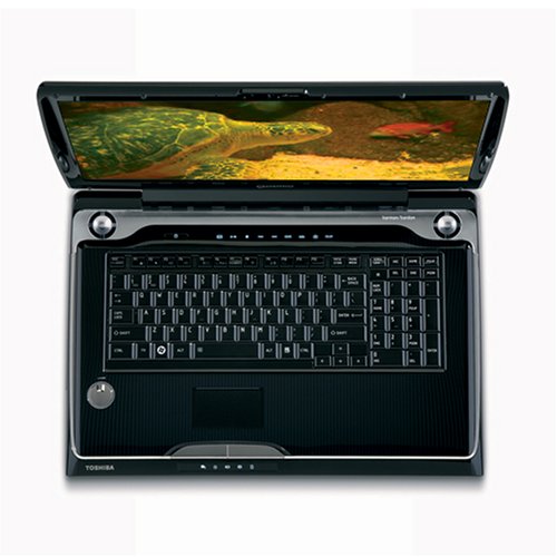 Toshiba Qosmio G55-Q801 18.4