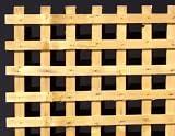 Square Heavy Duty Treated Yellow Pine Wood Lattice in a 10/pack with Freight included [CAPITOL CITY LUMBER]