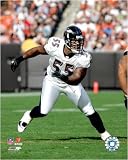 Terrell Suggs - '06 / '07 Action 16 x 20 Licensed Photo - Poster -- Framing Options Available