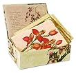 Orchids - Box of 10 Assorted textured cards and envelopes