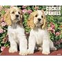 Just Cocker Spaniels 2009 Calendar
