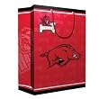Arkansas Razorbacks NCAA Medium Gift Bag (9.75 Tall) by Pro Specialties Group