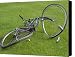 Broken Bicycle Canvas Print / Canvas Art - Artist Carl Purcell