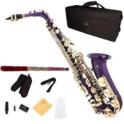 Cecilio 2Series AS-280PL Purple Lacquered w/ Gold Accents Alto Saxophone w/ Case and Accessories