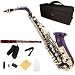 Cecilio 2Series AS-280PL Purple Lacquered w/ Gold Accents Alto Saxophone w/ Case and Accessories