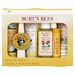 Burt's Bees Head To Toe Kit