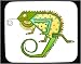 http://ecx.images-amazon.com/images/I/518ky9EGf%2BL._SL75_.jpg