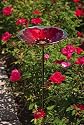 Ruby Pansy Glass Birdbath