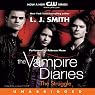 The Vampire Diaries, Book 2: The Struggle