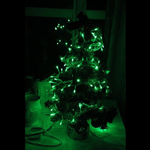 détail Innoo Tech 220V 10M Guirlande Lumineuse à 100 LED lampes, décoration pour spin de Noël,fête, jardin et autres célébrations-8 modes de fonction (Vert)