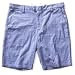 Analog: Hachette Short - Chambray/32