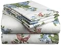Pike Street 135-Gram Printed Flannel Queen Sheet Set, Songbirds