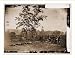 Civil War Photo (M): Antietam Maryland. Burying the dead Confederate soldiers