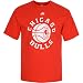 adidas Chicago Bulls Off Season T-Shirt