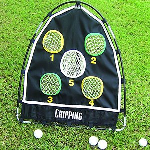 Club champ chip n play net with game target