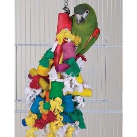 Bird Toy - Wild Series - Madcap Challenge Toy - Great Toy for Medium to Large Birds