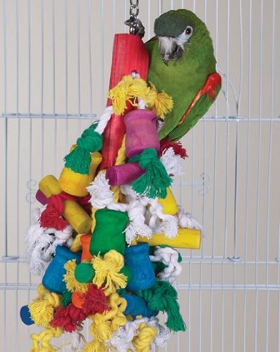 Bird Toy – Wild Series – Madcap Challenge Toy – Great Toy for Medium to Large Birds