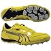 Sporting Goods : Puma Cortlandt III XC - Men's