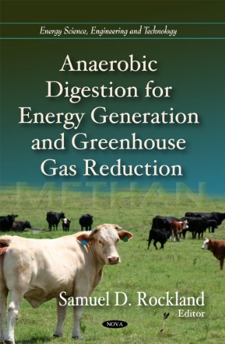 Anaerobic Digestion for Energy Generation and Greenhouse Gas Reduction (Energy Science, Engineering and Technology)