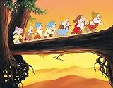 Snow White and the Seven Dwarfs (Three-Disc Diamond Edition Blu-ray/DVD Combo + BD Live w/ Blu-ray packaging)