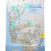 Travel Destinations - VINYL Shower Curtain - NYC Subway Map