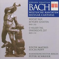 Cantates Profanes, BWV 202 & 210