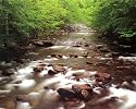 Great Smoky Mountains, TN 16 x 20 City Land & Sea Art Print Posters