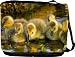 RikkiKnight Four Yellow Ducklings in Pond Messenger Bag - Book Bag ***with matching coin purse wallet*** -School Bag - Reporter Bag - Unisex - Ideal Gift for all occassions! RikkiKnight Four Yellow Ducklings in Pond Messenger Bag - Book Bag ***with matching coin purse wallet*** -School Bag - Reporter Bag - Unisex - Ideal Gift for all occassions!
