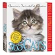 365 Cats Page-A-Day Calendar 2011