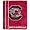 South Carolina Fighting Gamecocks