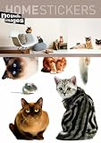Home Stickers Cats and a Mouse Decorative Wall Stickers