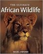 The Ultimate African Wildlife