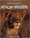 The Ultimate African Wildlife