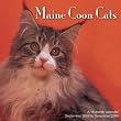 Maine Coon Cats 2009 Wall Calendar