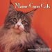 Maine Coon Cats 2009 Wall Calendar