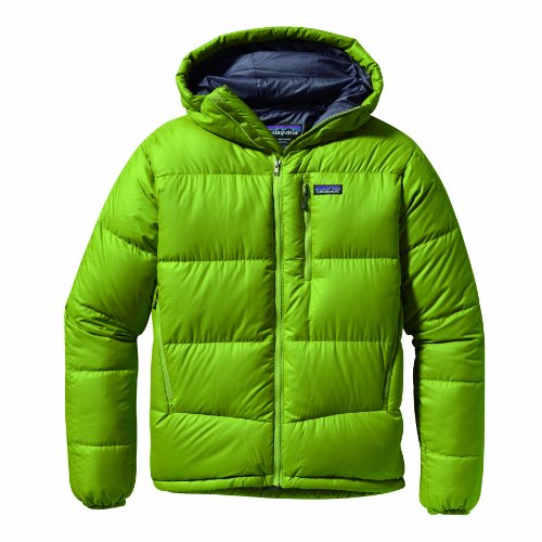 Patagonia Herren/uni Jacke M\'s Fitz Roy Down Hoody, GECKO GREEN, M, 84580_803 Preisvergleich