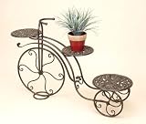 Oxidize-Finished Metal Tricycle 3 POTS PLANT STAND