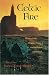 Celtic Fire: The Passionate Religious Vision of Ancient Britain and Ireland