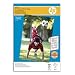 HP Advanced Photo Paper - Glossy photo paper - A3 (297 x 420 mm) - 250 g/m2 - 20 sheet(s)
