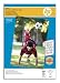 HP Advanced Photo Paper - Glossy photo paper - A3 (297 x 420 mm) - 250 g/m2 - 20 sheet(s)