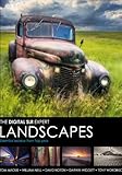 Landscapes : essential advice from top pros