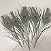 High Quality Natural Peacock Feathers 10