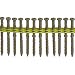 Quik Drive DCLT212S Composi-Lok  Tan 2 1/2-Inch Deck and Dock Screws  with Quik Guard Corrosion Protection
