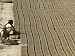 India International Women's Day, Jammu Art Photographic Poster Print by Channi Anand,...