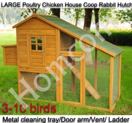 Poultry Chicken House Coop Hutch