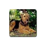 Airedale Terrier Rubber Square Coaster (4 pack)