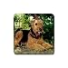 Airedale Terrier Rubber Square Coaster (4 pack)