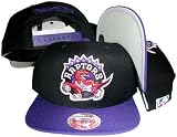 Toronto Raptors Black/Purple Two Tone Snapback Adjustable Plastic Snap Back Hat / Cap