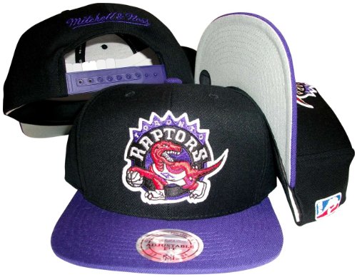 Toronto Raptors Black/Purple Two Tone Snapback Adjustable Plastic Snap Back Hat / Cap